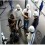 students in hard hats and safety gear